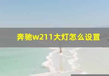 奔驰w211大灯怎么设置