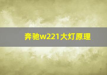 奔驰w221大灯原理