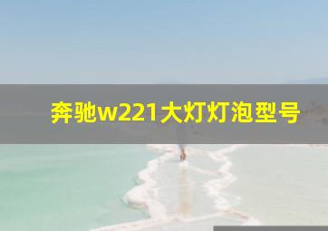 奔驰w221大灯灯泡型号