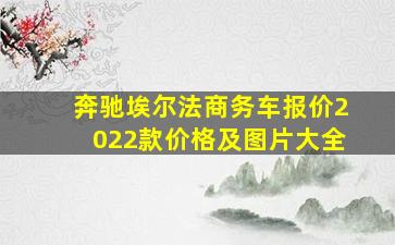 奔驰埃尔法商务车报价2022款价格及图片大全