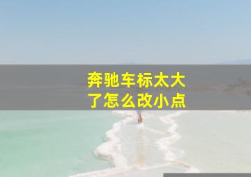 奔驰车标太大了怎么改小点