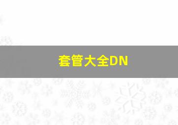 套管大全DN