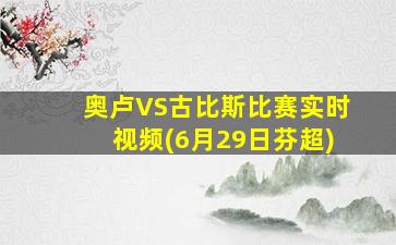 奥卢VS古比斯比赛实时视频(6月29日芬超)