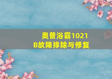 奥普浴霸1021B故障排除与修复