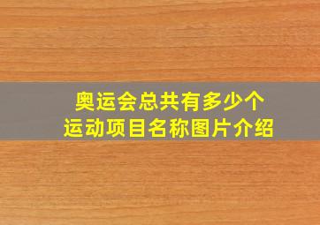 奥运会总共有多少个运动项目名称图片介绍