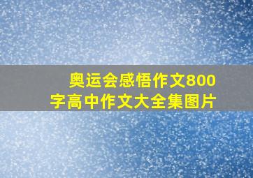 奥运会感悟作文800字高中作文大全集图片