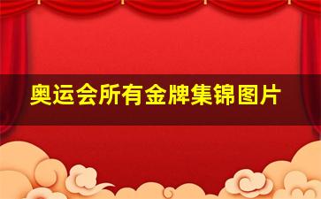 奥运会所有金牌集锦图片