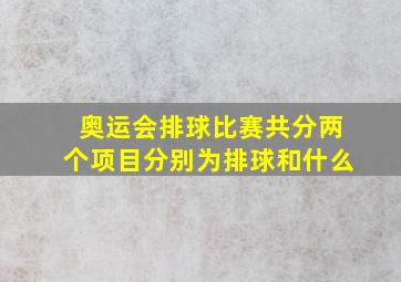 奥运会排球比赛共分两个项目分别为排球和什么