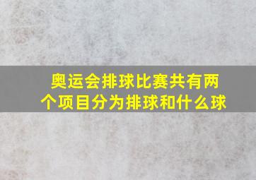 奥运会排球比赛共有两个项目分为排球和什么球