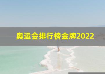 奥运会排行榜金牌2022