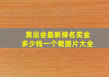 奥运会最新排名奖金多少钱一个呢图片大全