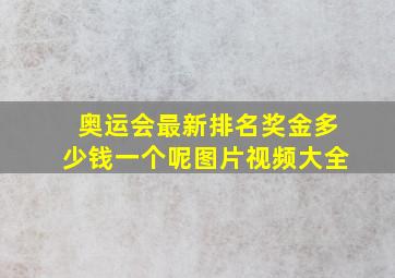 奥运会最新排名奖金多少钱一个呢图片视频大全