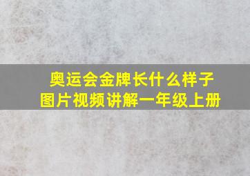 奥运会金牌长什么样子图片视频讲解一年级上册