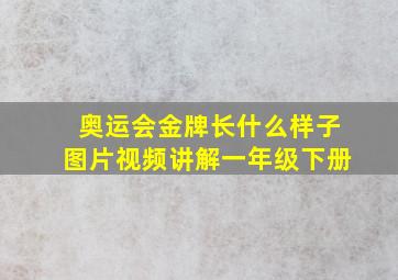 奥运会金牌长什么样子图片视频讲解一年级下册