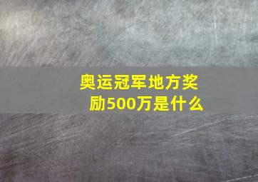 奥运冠军地方奖励500万是什么