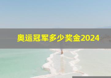 奥运冠军多少奖金2024