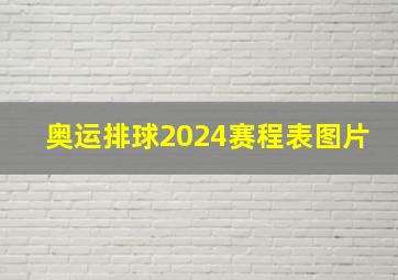 奥运排球2024赛程表图片