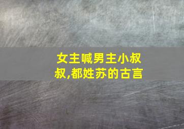 女主喊男主小叔叔,都姓苏的古言