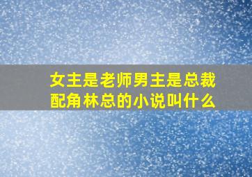 女主是老师男主是总裁配角林总的小说叫什么