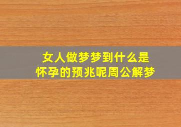 女人做梦梦到什么是怀孕的预兆呢周公解梦