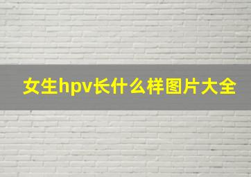 女生hpv长什么样图片大全