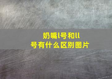 奶嘴l号和ll号有什么区别图片