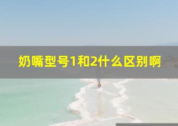 奶嘴型号1和2什么区别啊