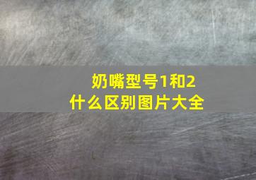 奶嘴型号1和2什么区别图片大全