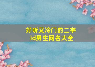 好听又冷门的二字id男生网名大全