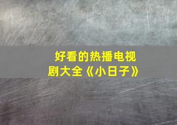 好看的热播电视剧大全《小日子》