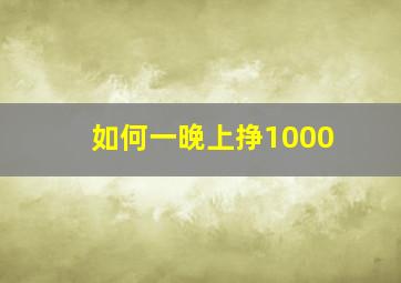 如何一晚上挣1000