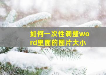 如何一次性调整word里面的图片大小