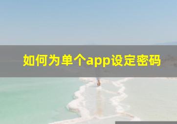 如何为单个app设定密码