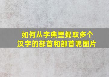 如何从字典里提取多个汉字的部首和部首呢图片