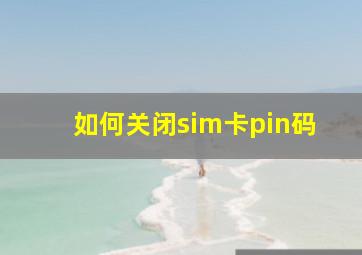 如何关闭sim卡pin码