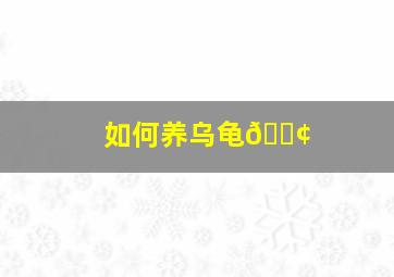 如何养乌龟🐢