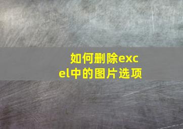 如何删除excel中的图片选项