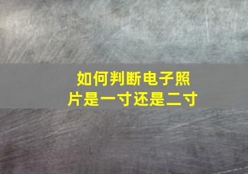 如何判断电子照片是一寸还是二寸