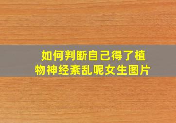 如何判断自己得了植物神经紊乱呢女生图片