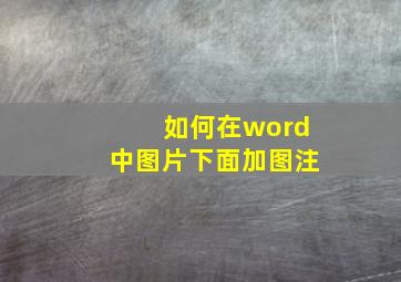 如何在word中图片下面加图注