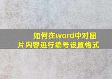 如何在word中对图片内容进行编号设置格式