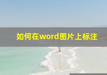 如何在word图片上标注