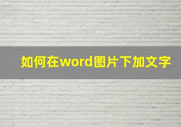 如何在word图片下加文字