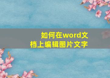 如何在word文档上编辑图片文字