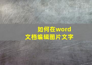 如何在word文档编辑图片文字