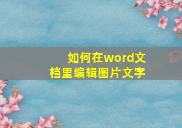 如何在word文档里编辑图片文字