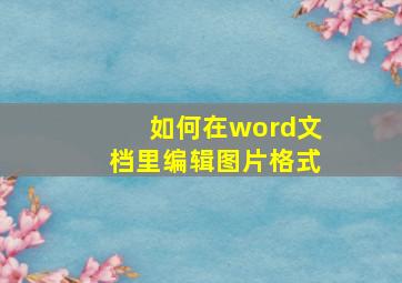 如何在word文档里编辑图片格式