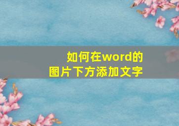 如何在word的图片下方添加文字