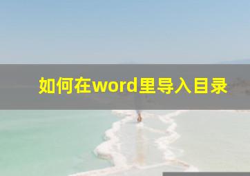 如何在word里导入目录