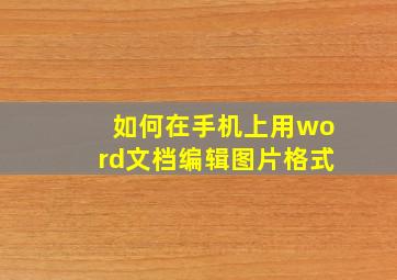 如何在手机上用word文档编辑图片格式